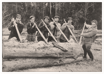 Pictured are several local woodsmen preparing to move a log down the Sackville River
