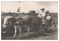 A mother and her three small children going for a ride in a horse-drawn buggy